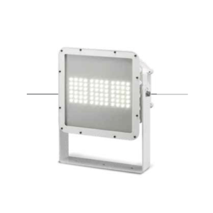 LED Flood Light