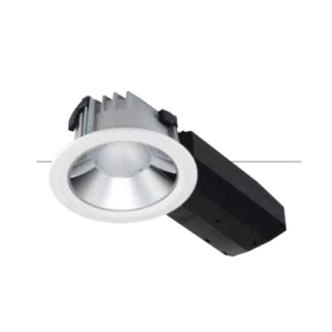LED Down Light