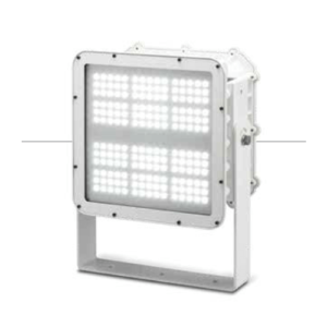 LED Flood Light
