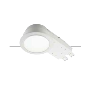LED Down Light