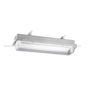 Explosion Proof LED Ceiling Light (Battery back-up)