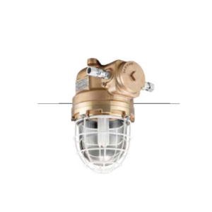 Explosion Proof Fluorescent Ceiling Light