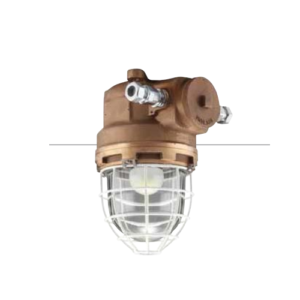 Explosion Proof LED Ceiling Light