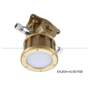 Explosion Proof LED Pendant Light