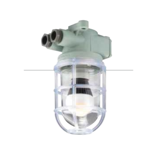 LED Pendant Light